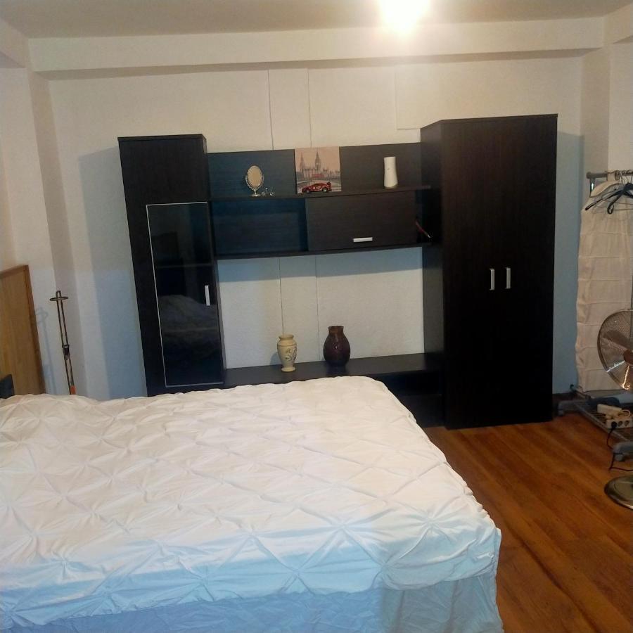 Vila Elena Ap 1 Bukurešť Exteriér fotografie