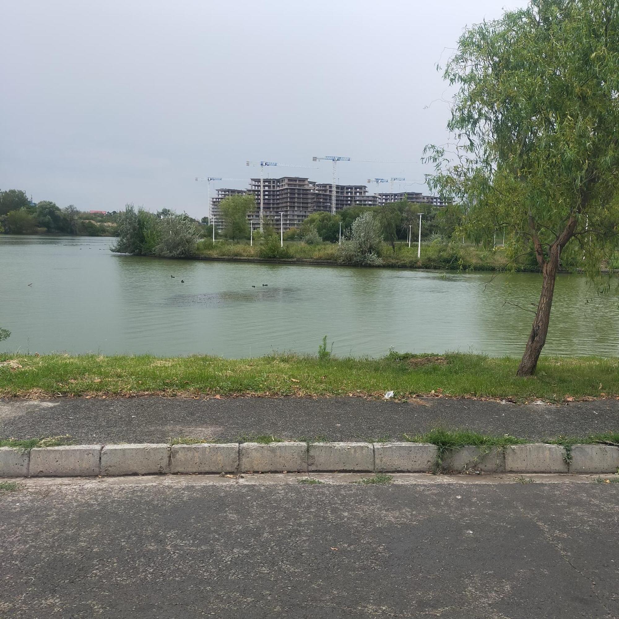 Vila Elena Ap 1 Bukurešť Exteriér fotografie