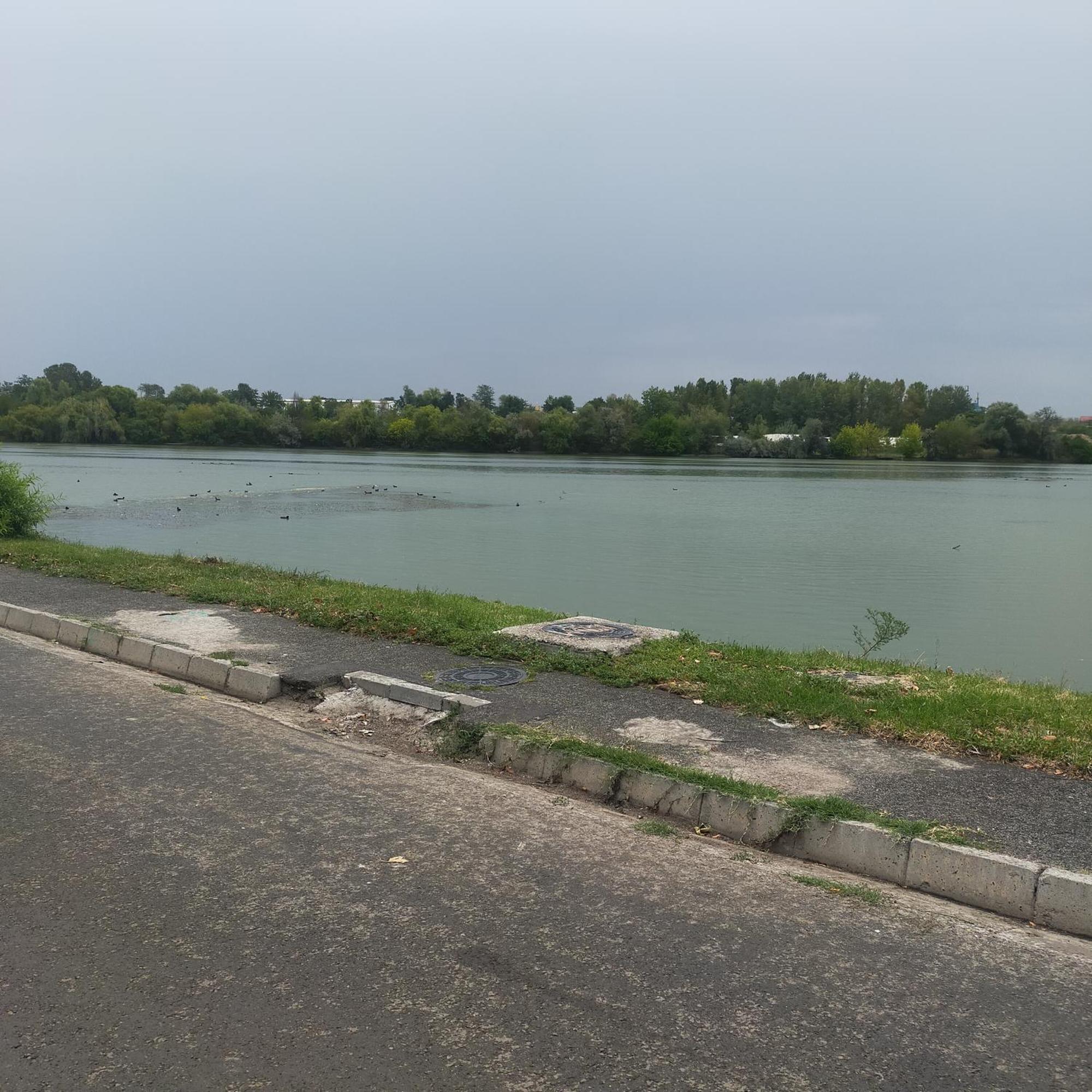 Vila Elena Ap 1 Bukurešť Exteriér fotografie
